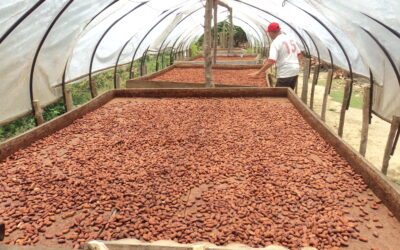 PEPSICO: Nueva lí­nea de Agricultura y Desarrollo Rural.