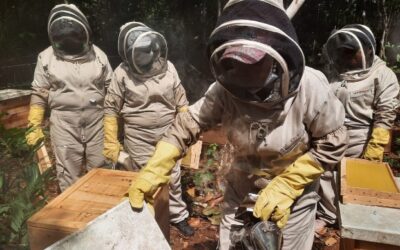 Un proceso de empoderamiento económico con sabor a miel