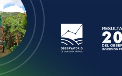 Resultados Observatorio de Inversión Privada en PDET