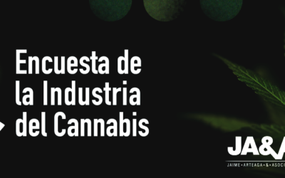 El Cannabis, una industria que puede llegar a generar más de 24mil empleos directos para el país.