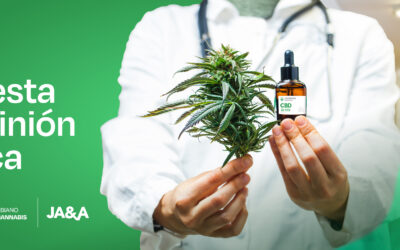 Seis de diez colombianos está de acuerdo con que los médicos prescriban cannabis medicinal