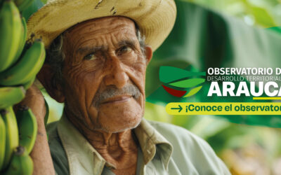 Observatorio de Desarrollo Territorial de Arauca: Información y análisis de datos sólidos para la toma de decisiones. 