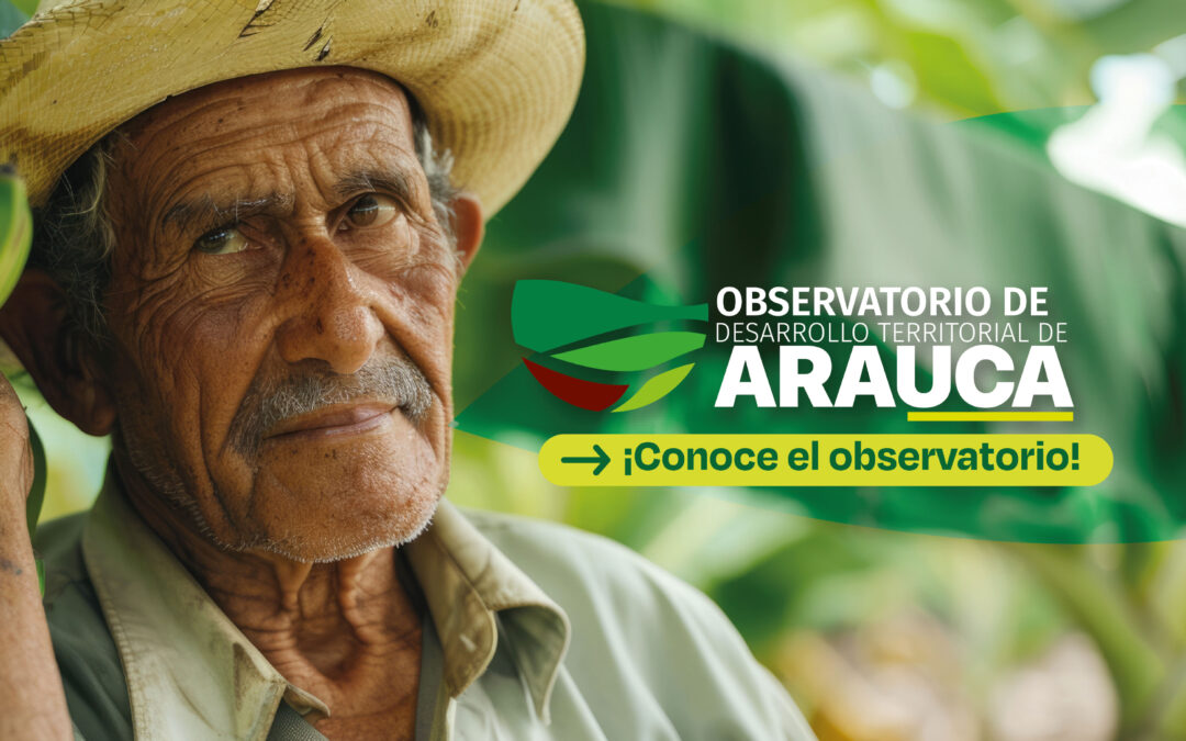 Observatorio de Desarrollo Territorial de Arauca: Información y análisis de datos sólidos para la toma de decisiones. 