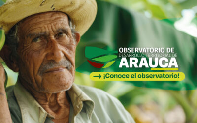Observatorio de Desarrollo Territorial de Arauca: Información y análisis de datos sólidos para la toma de decisiones. 